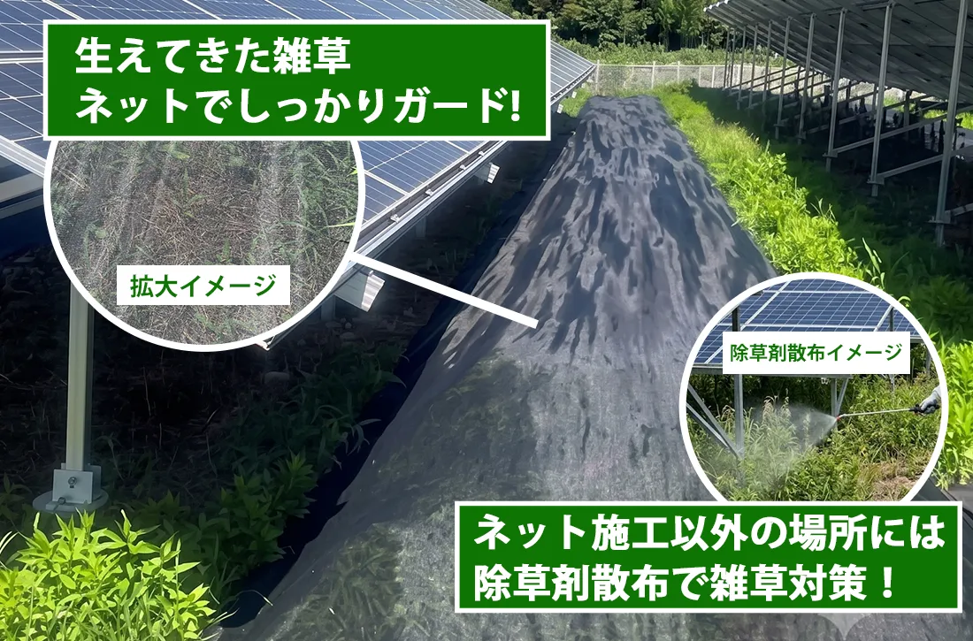 草止めネット・除草剤散布