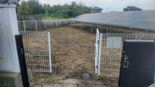 除草後