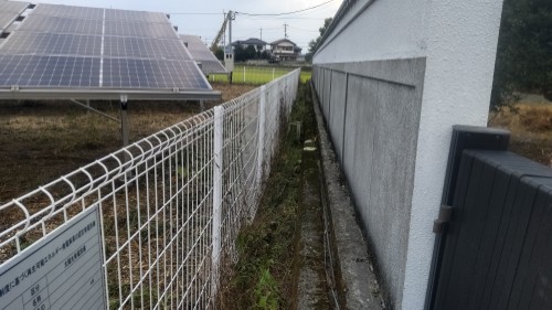除草後