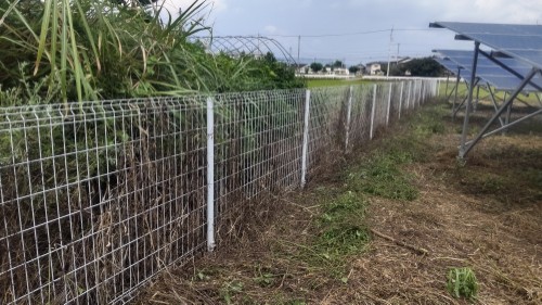 除草後