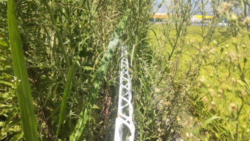 除草前